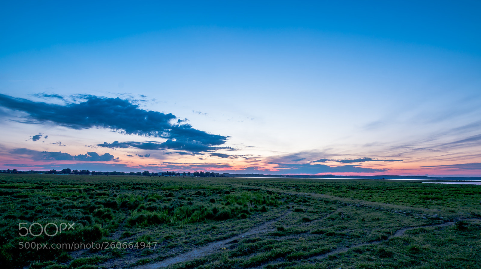 Nikon D5200 sample photo. Untitled photography