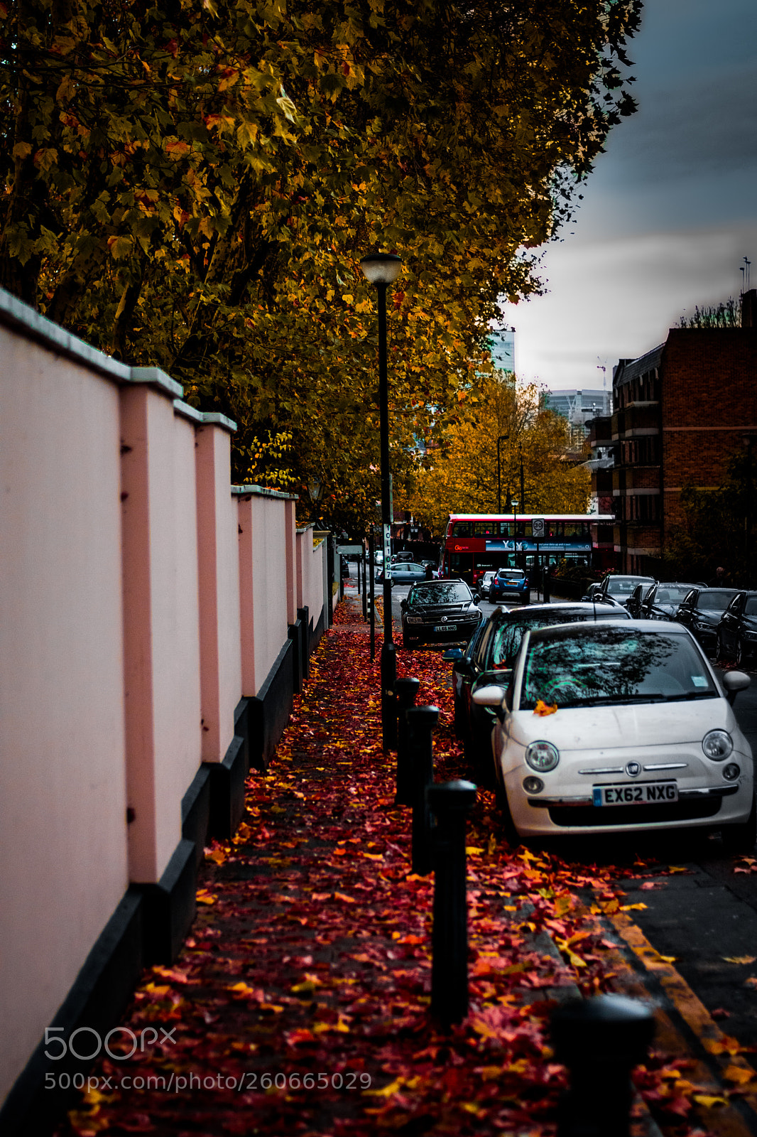 Nikon D3300 sample photo. Autumn in london photography