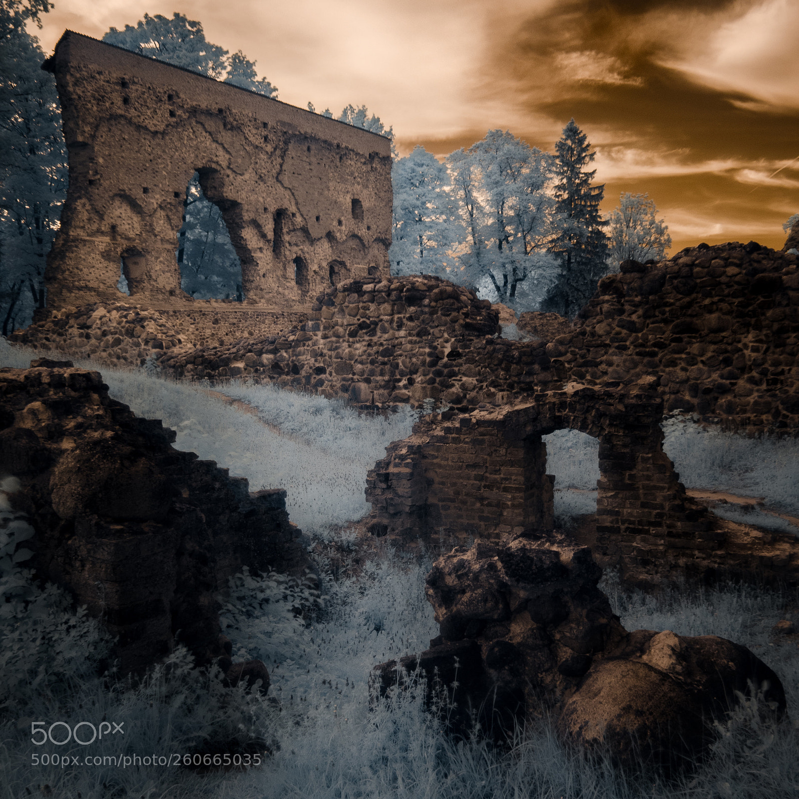 Nikon D7000 sample photo. Ruins of the viljandi photography