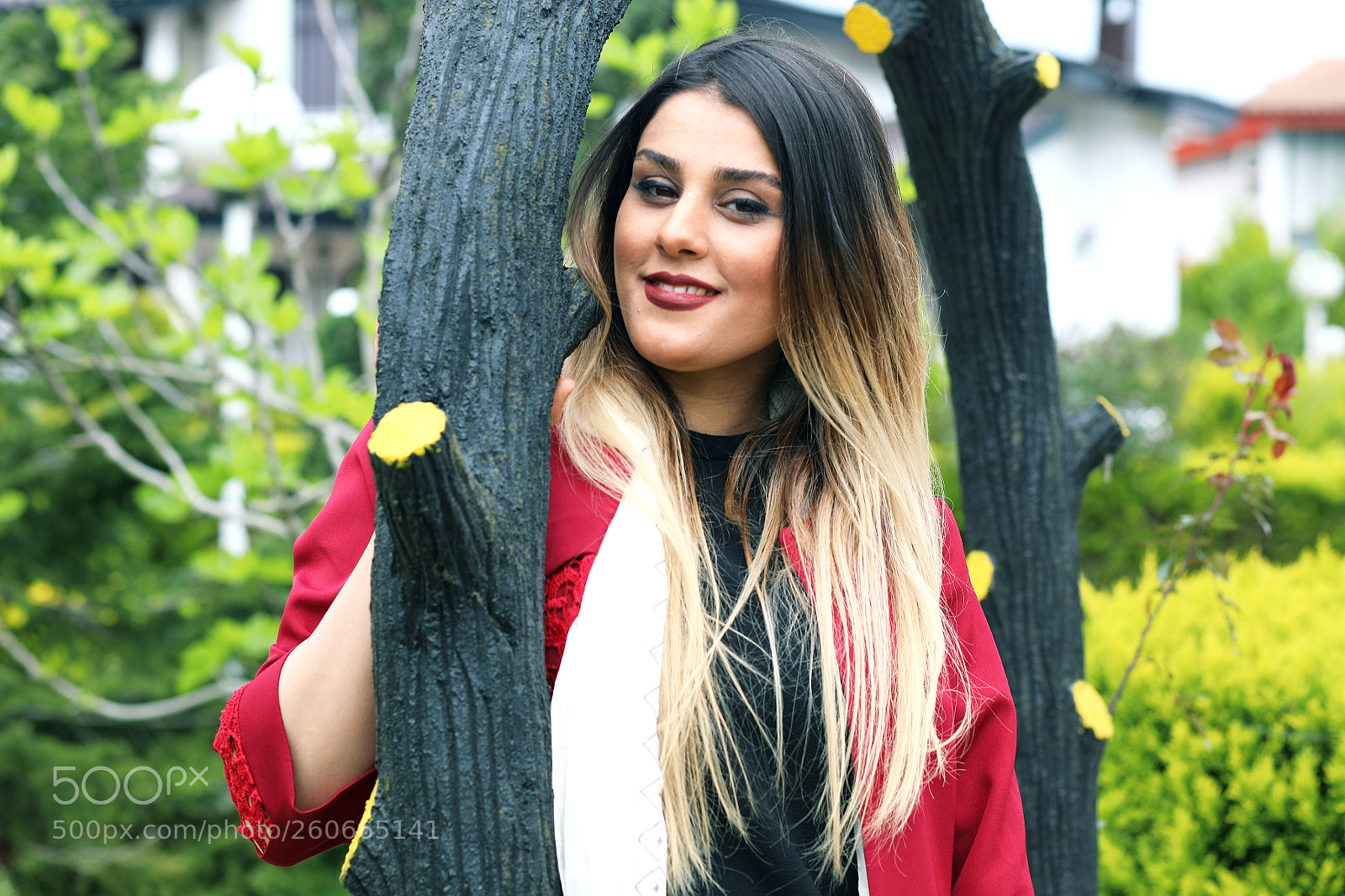 Canon EOS 5D Mark IV sample photo. Stealthy photography