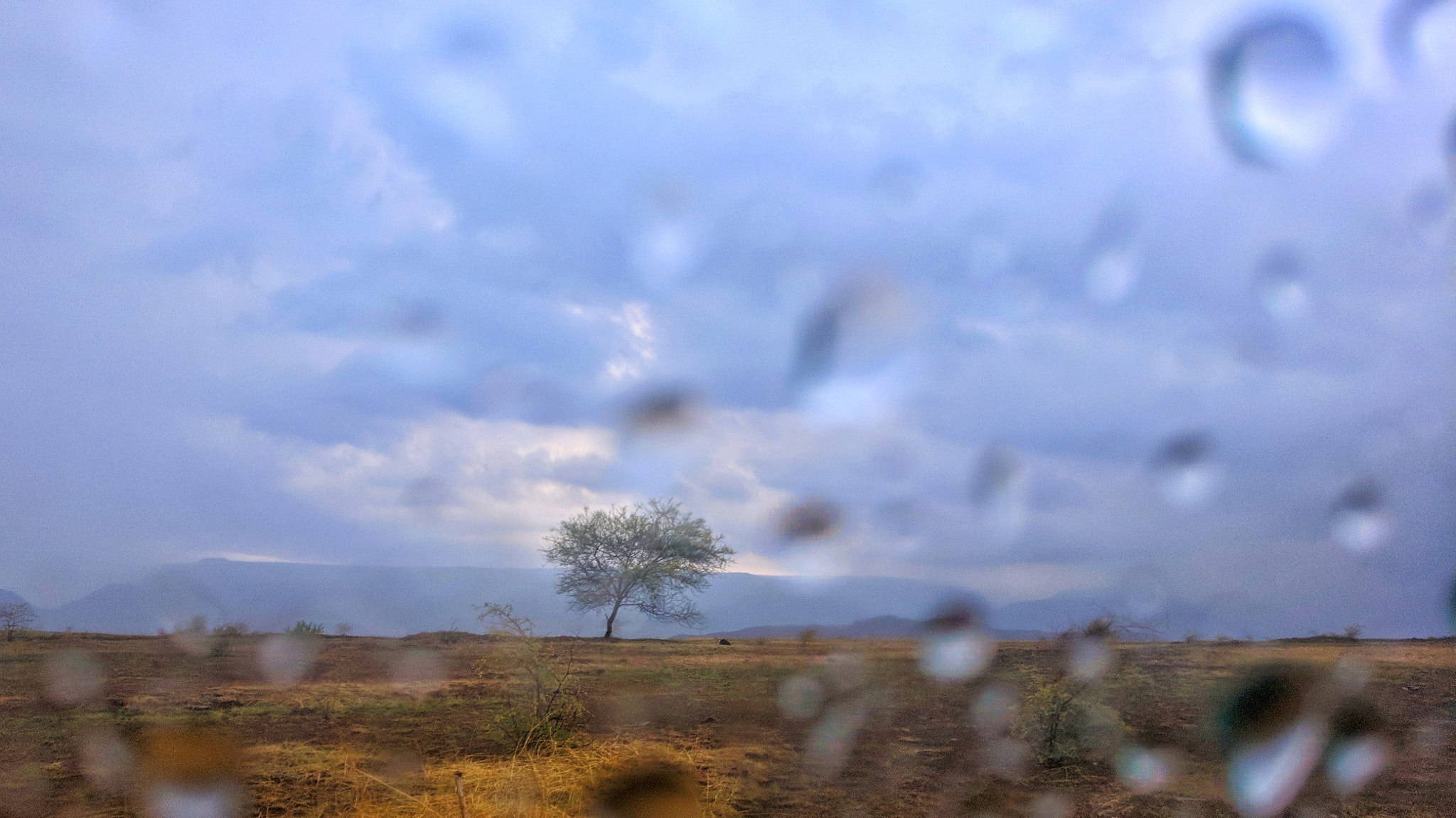 OnePlus A3003 sample photo. Monsoon photography
