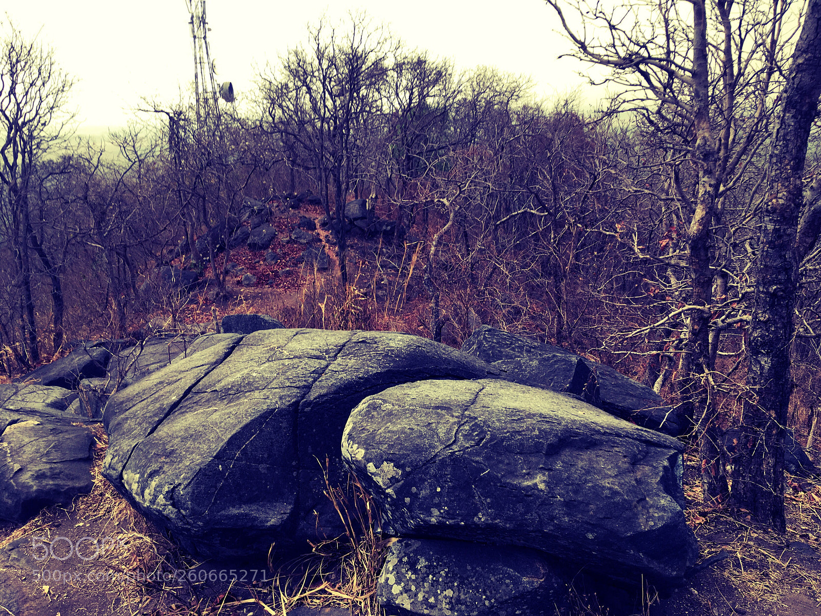 Apple iPhone SE sample photo. Burnt forest-stones left behind photography
