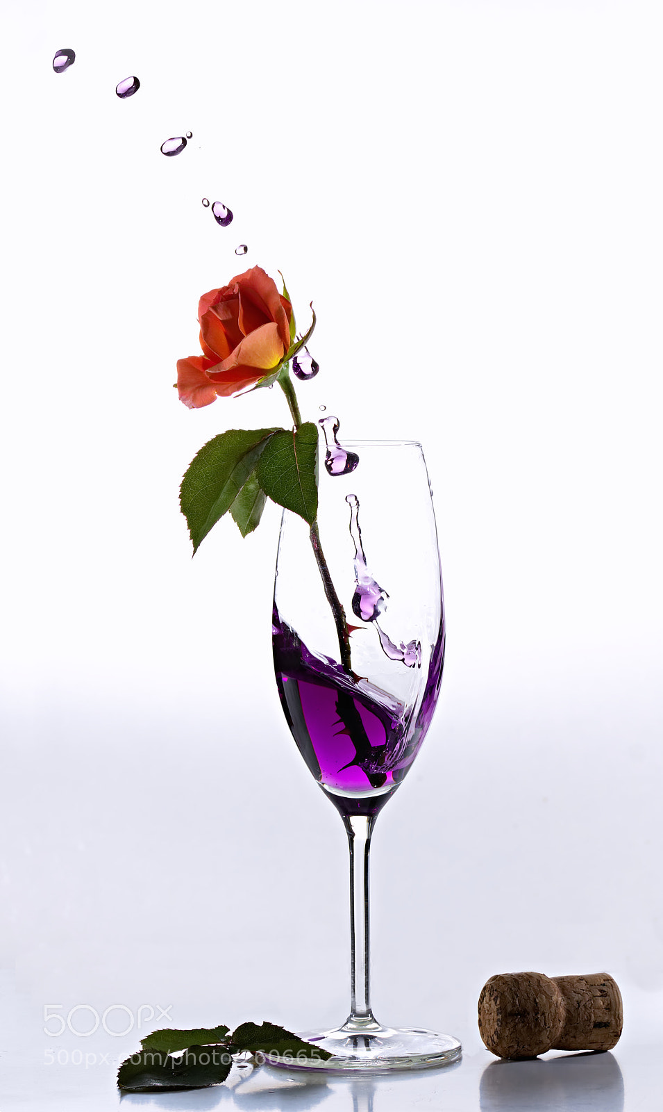Canon EOS 750D (EOS Rebel T6i / EOS Kiss X8i) sample photo. Rose in glass photography