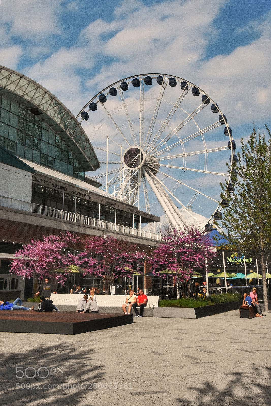 Nikon D7200 sample photo. Chicago navy pier photography