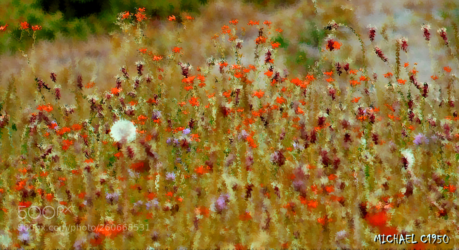 Nikon Coolpix L840 sample photo. The cottage garden (part 2) photography