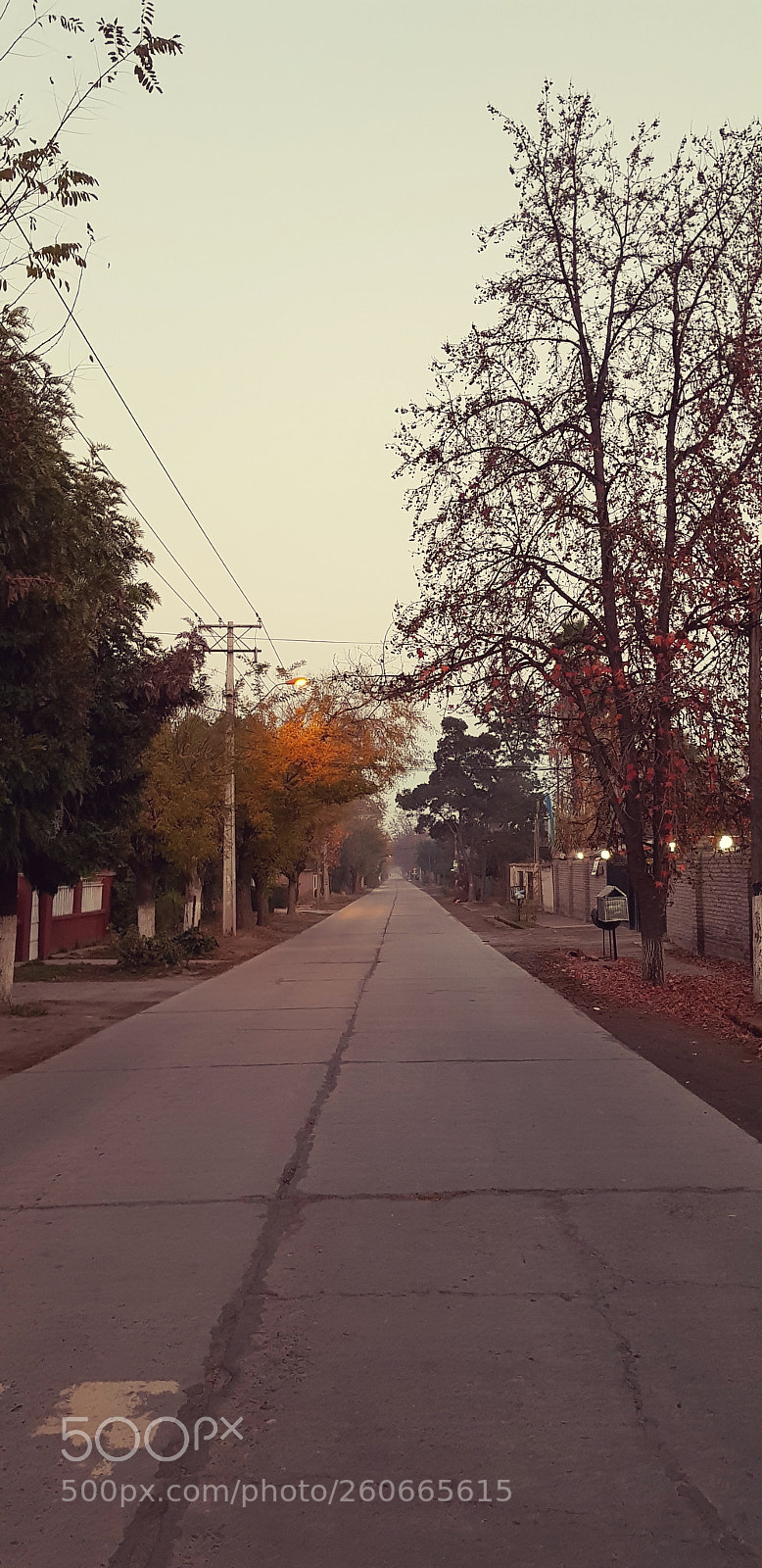 Samsung Galaxy S8+ sample photo. Untitled photography