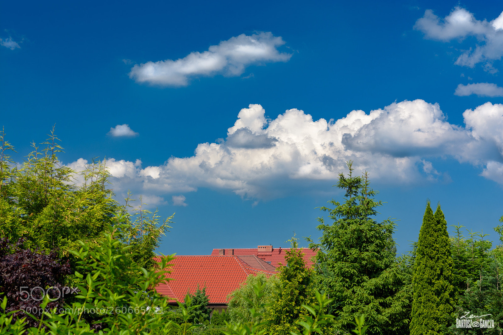 Nikon D7100 sample photo. Summer time photography