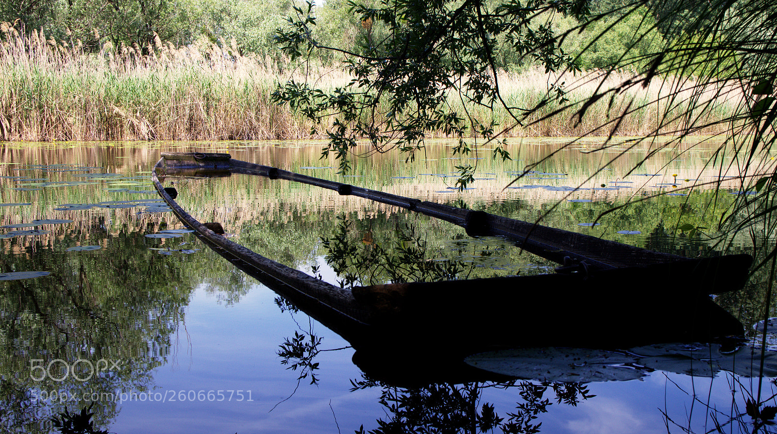 Canon EOS 600D (Rebel EOS T3i / EOS Kiss X5) sample photo. Forgotten boat photography