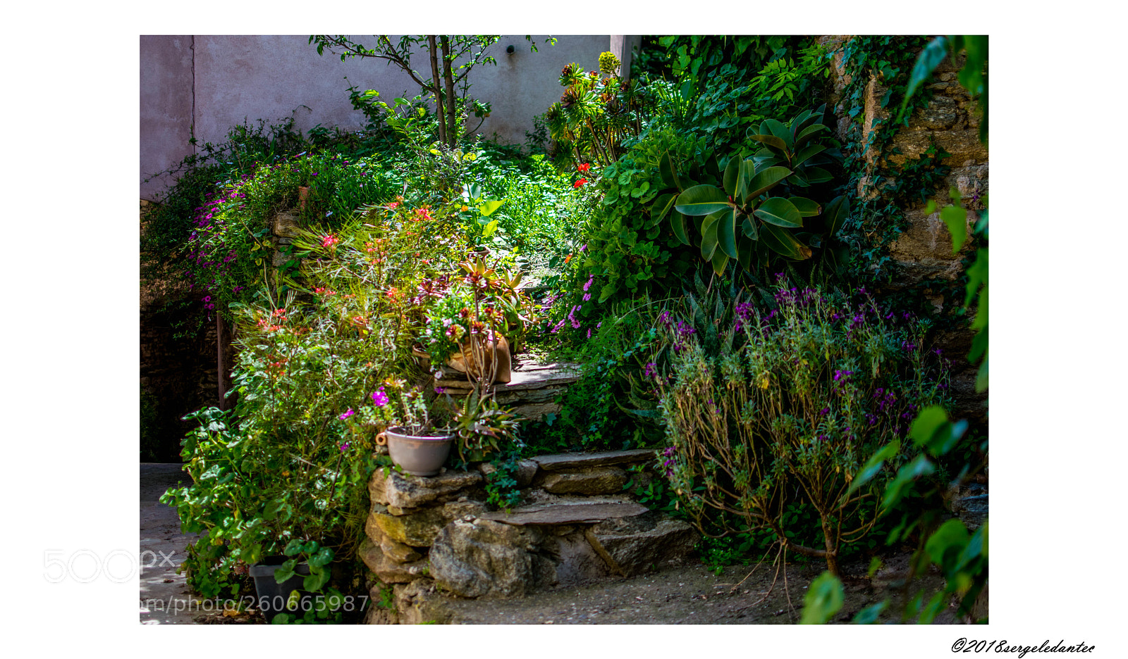 Nikon D5300 sample photo. Escalier fleuri photography
