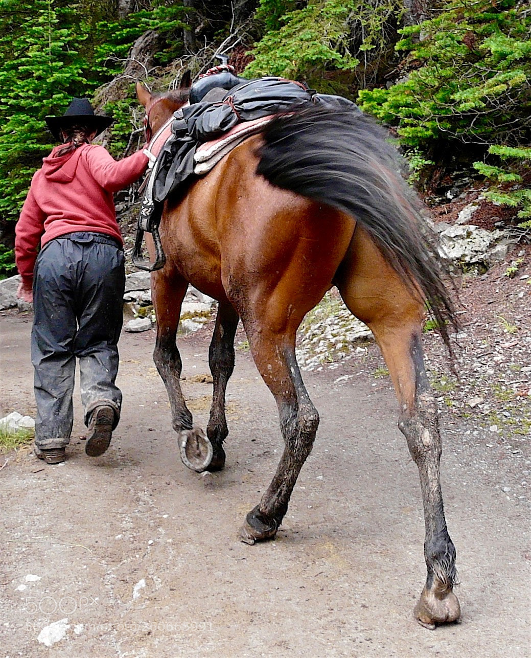 Panasonic DMC-FZ18 sample photo. Trudging uphill in the photography