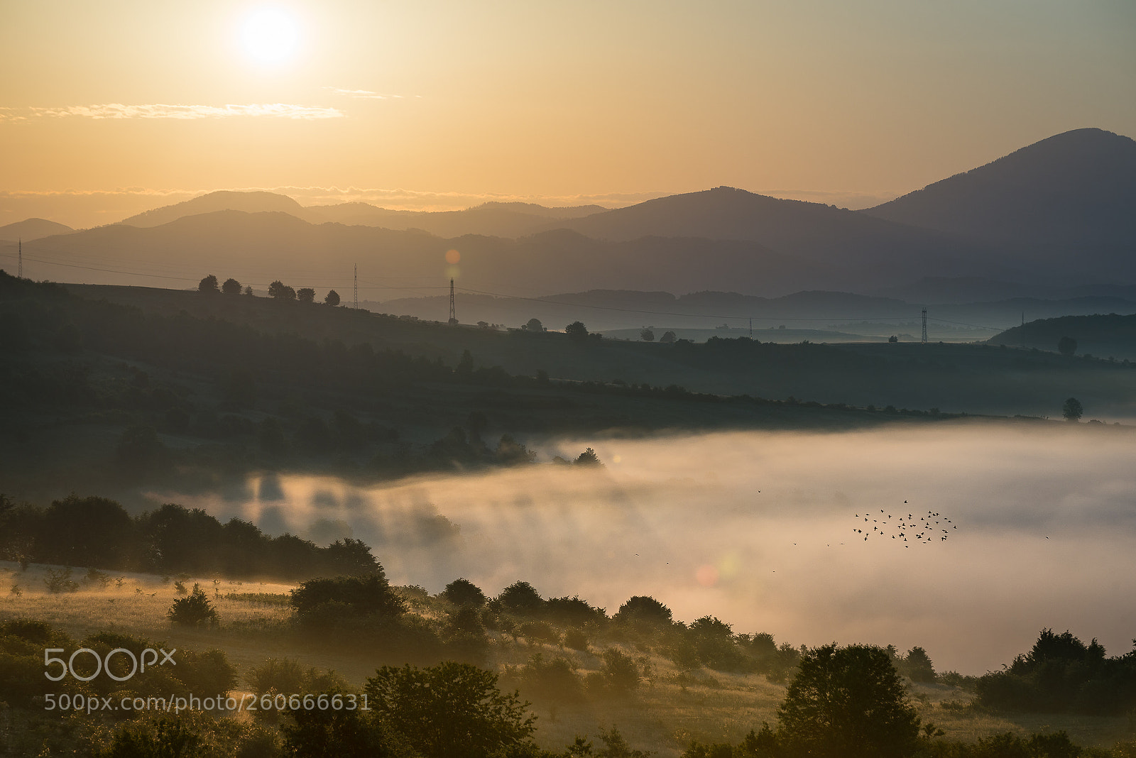 Nikon D610 sample photo. Borcut , maramures county photography