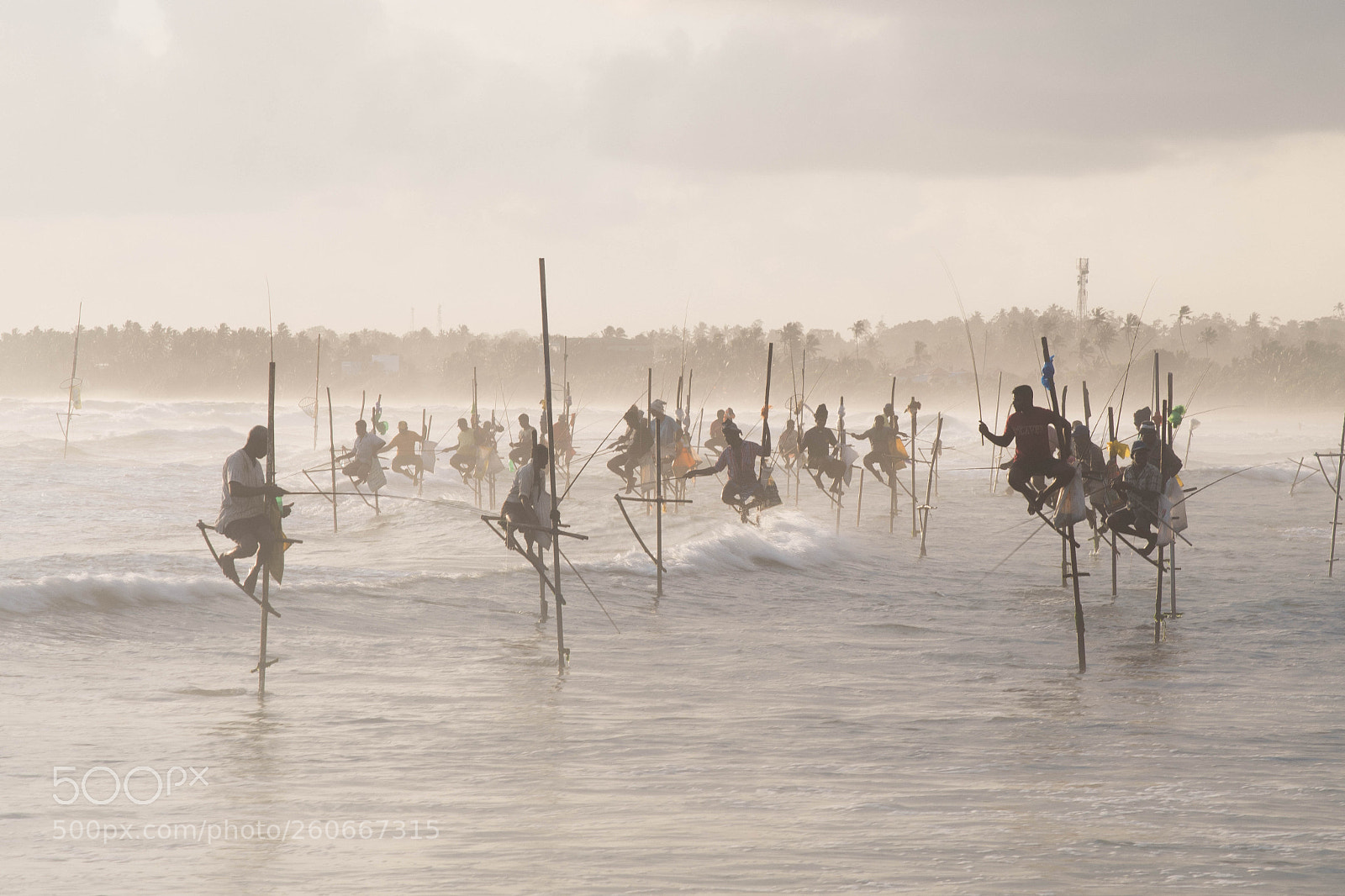 Nikon D7500 sample photo. Stilt fishing photography