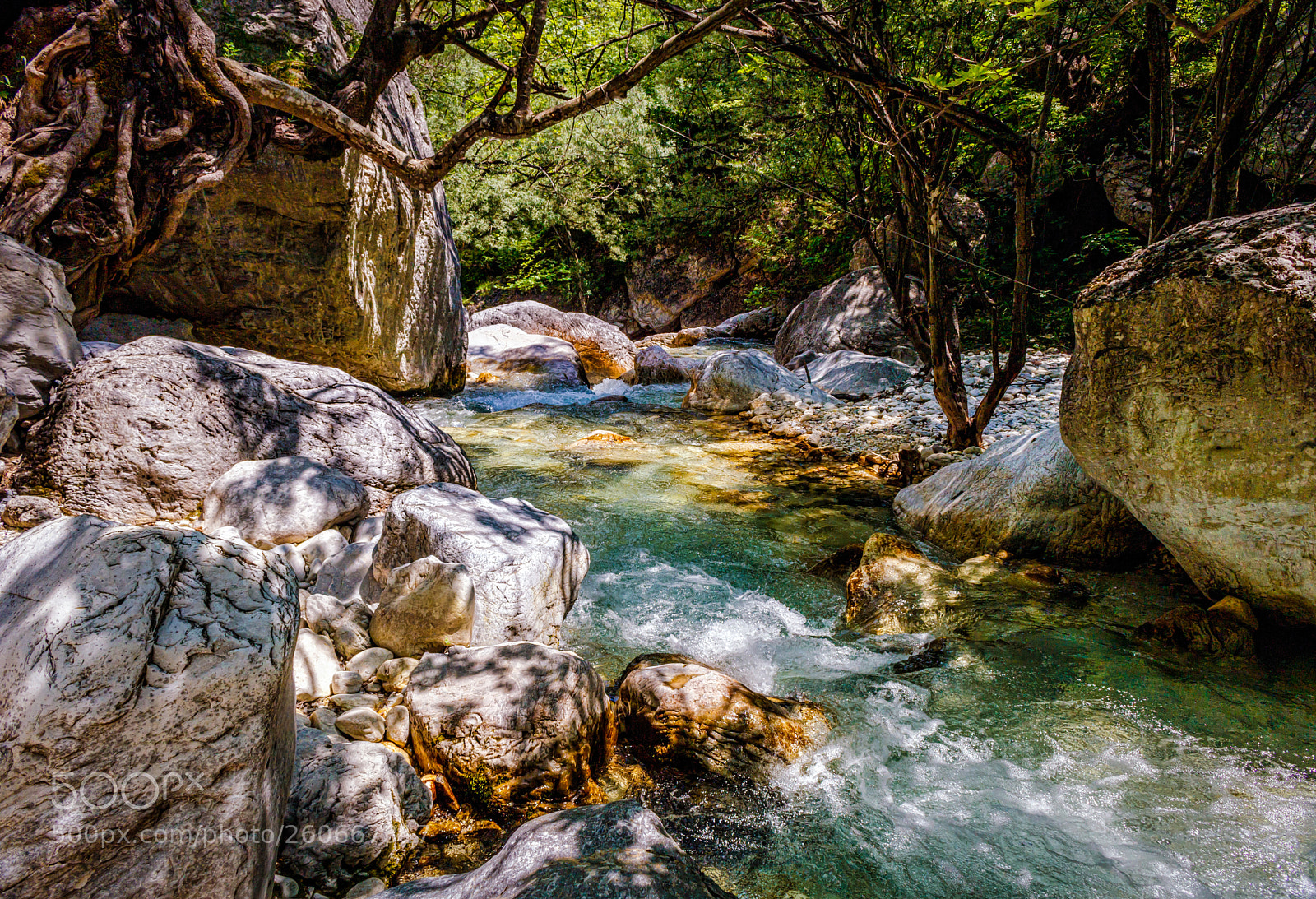 Canon EOS 750D (EOS Rebel T6i / EOS Kiss X8i) sample photo. Beautiful nature photography