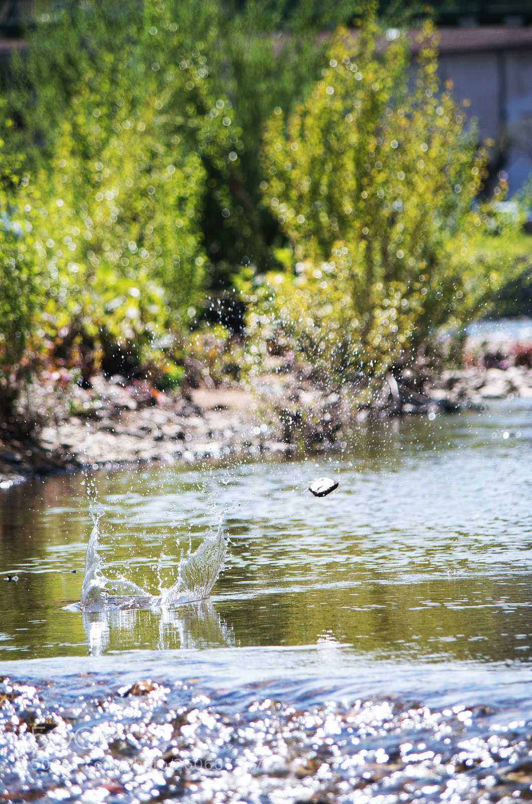 Pentax K-50 sample photo. Untitled photography