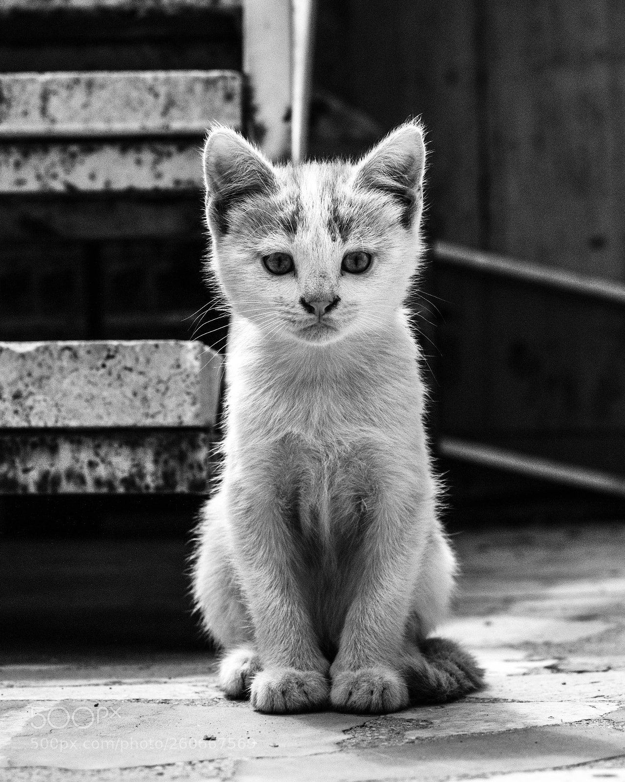 Nikon D3200 sample photo. Untitled photography