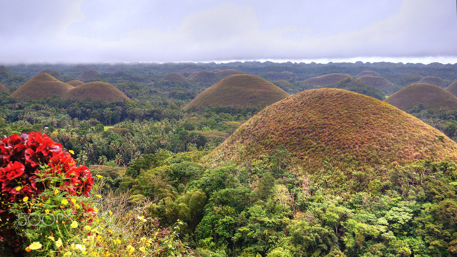 Sony Alpha NEX-6 sample photo. Bohol photography