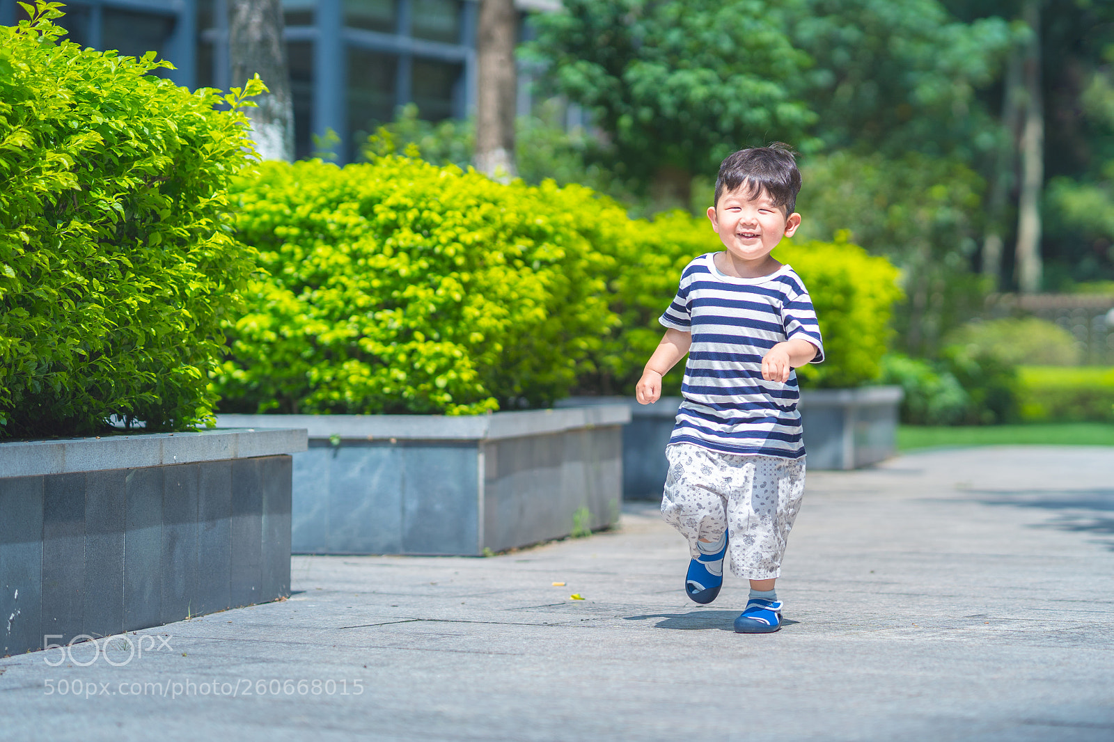 Sony a7 III sample photo. Untitled photography