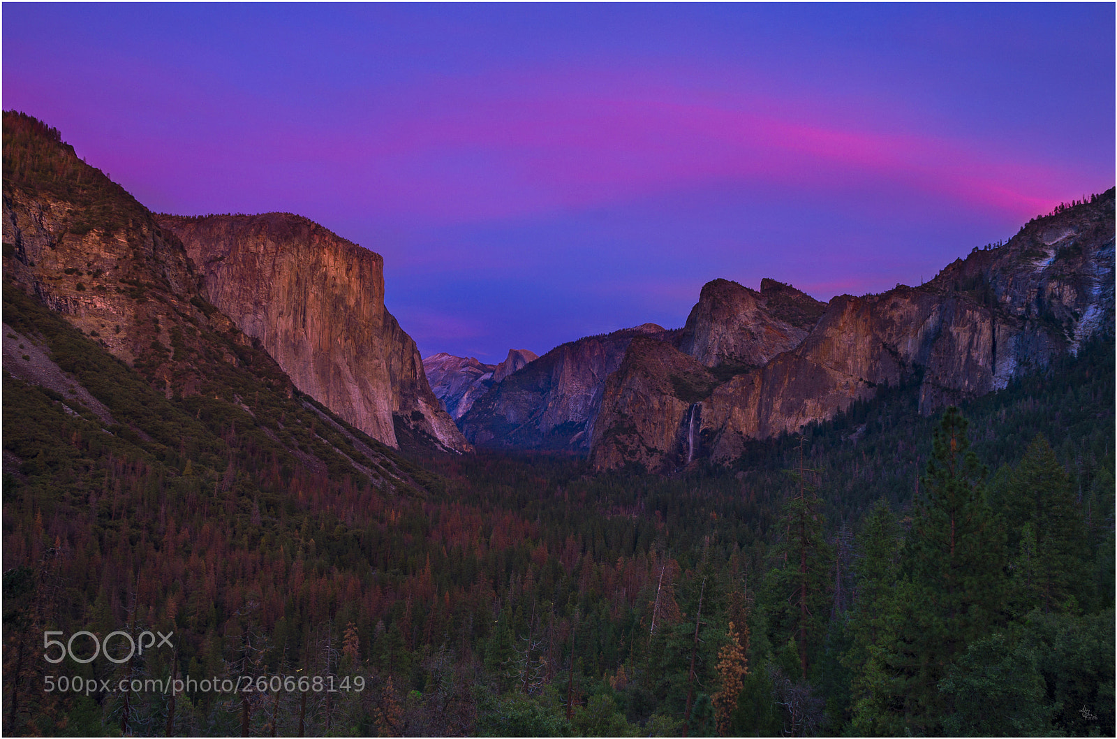 Nikon D610 sample photo. A yosemite sunset glow ..!! photography