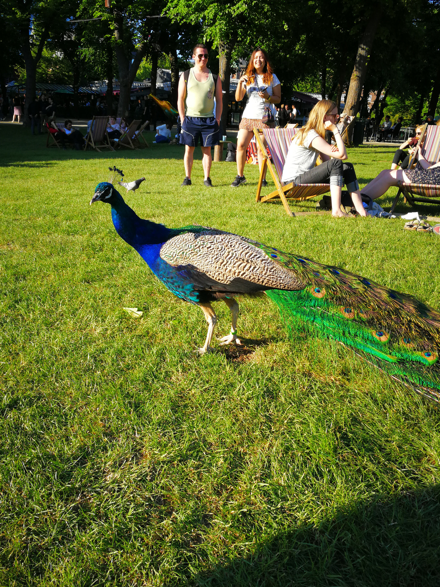 HUAWEI Mate 9 Pro sample photo