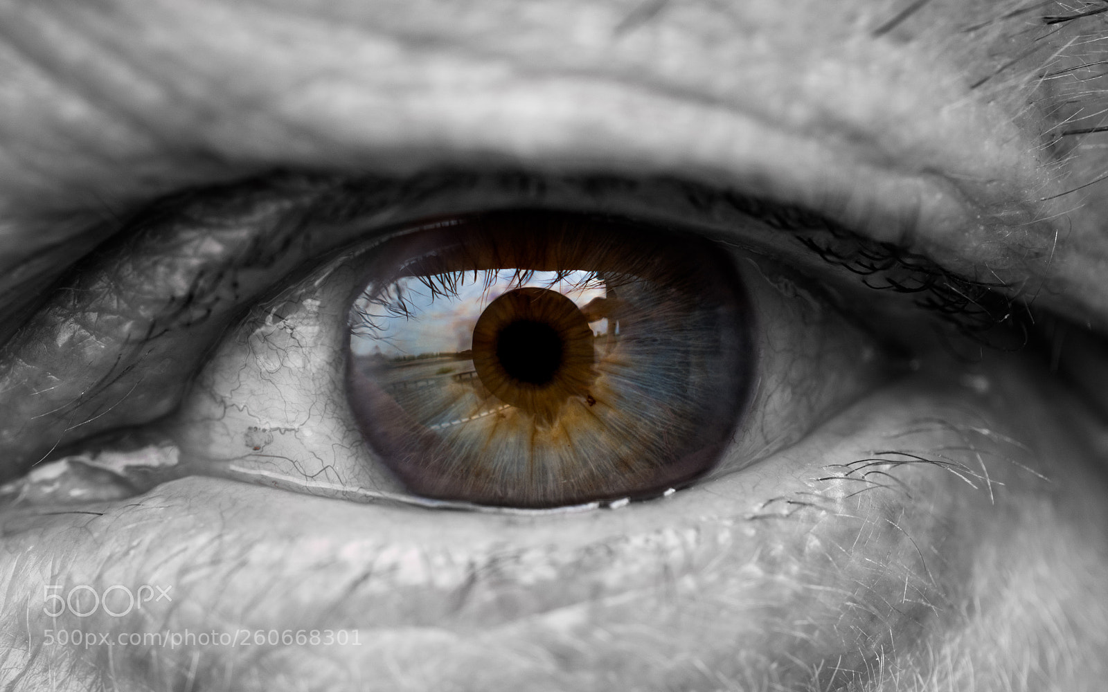 Nikon D5500 sample photo. Eye i love photography