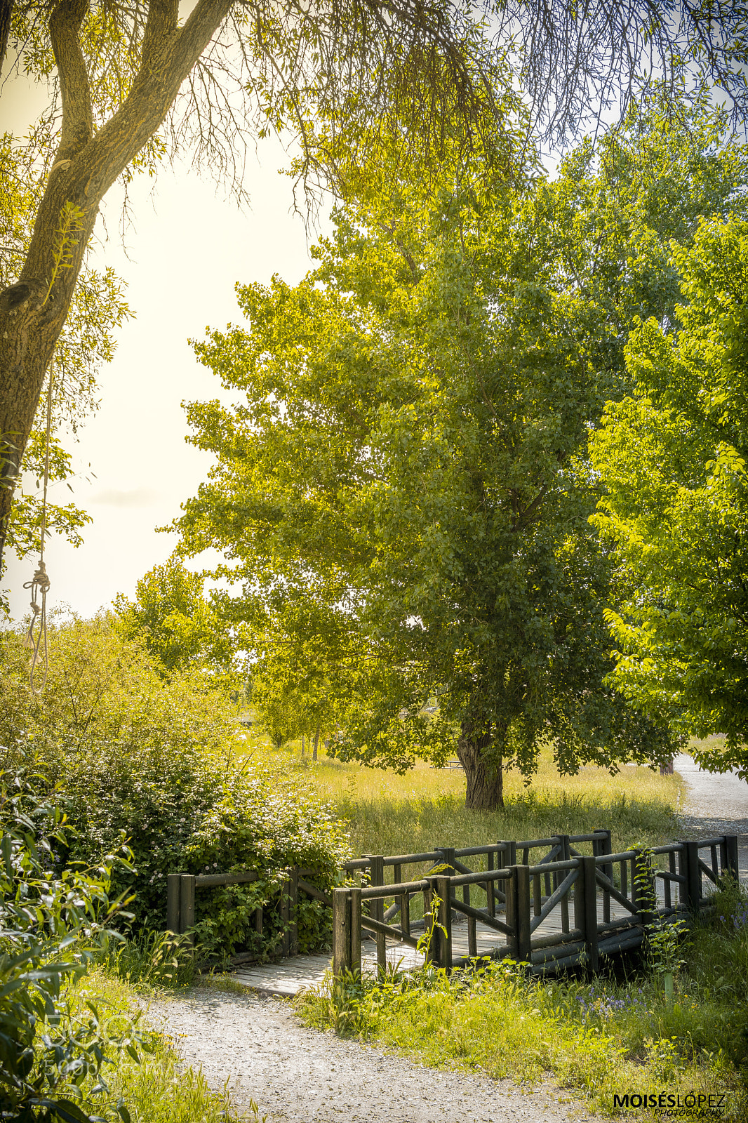 Canon EOS 80D sample photo. Small bridge photography