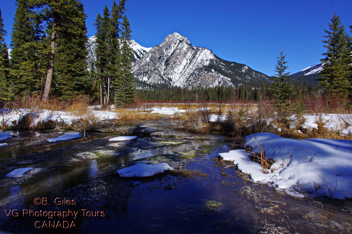 Pentax K-3 sample photo. Last of the snow photography