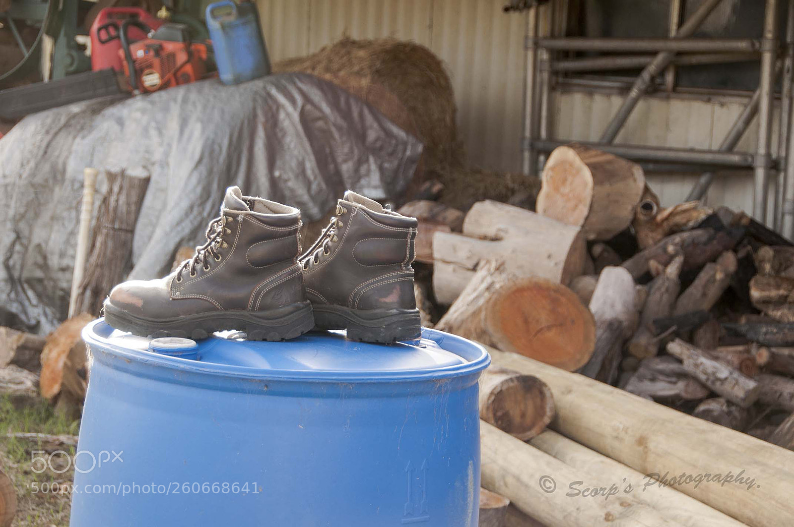 Nikon D90 sample photo. By the wood pile photography