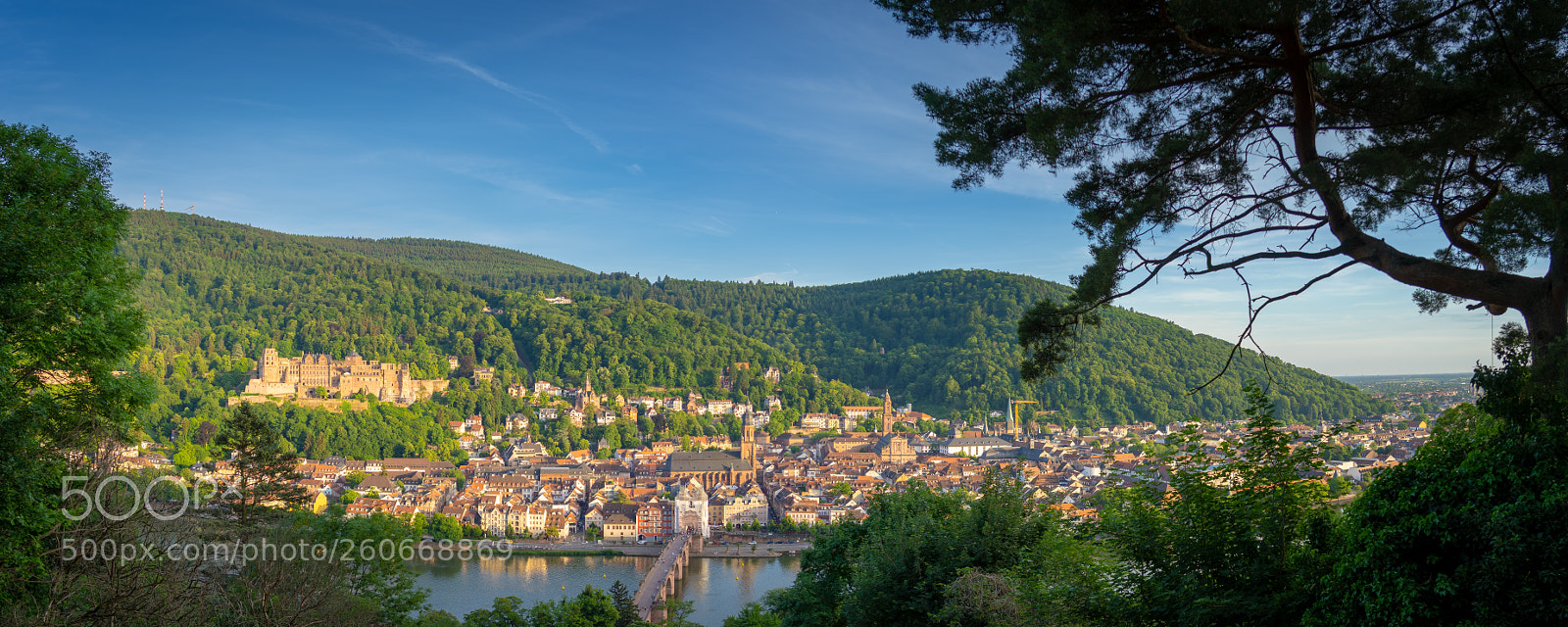 Sony a7 III sample photo. Heidelberg photography