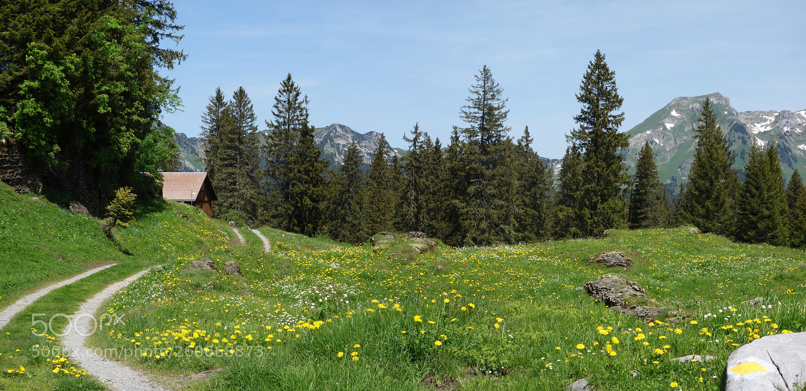 Sony Cyber-shot DSC-RX100 sample photo. Hidden alpine hut photography