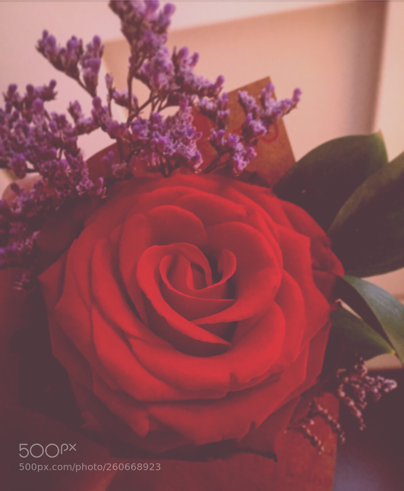 Apple iPhone 6 sample photo. Untitled photography
