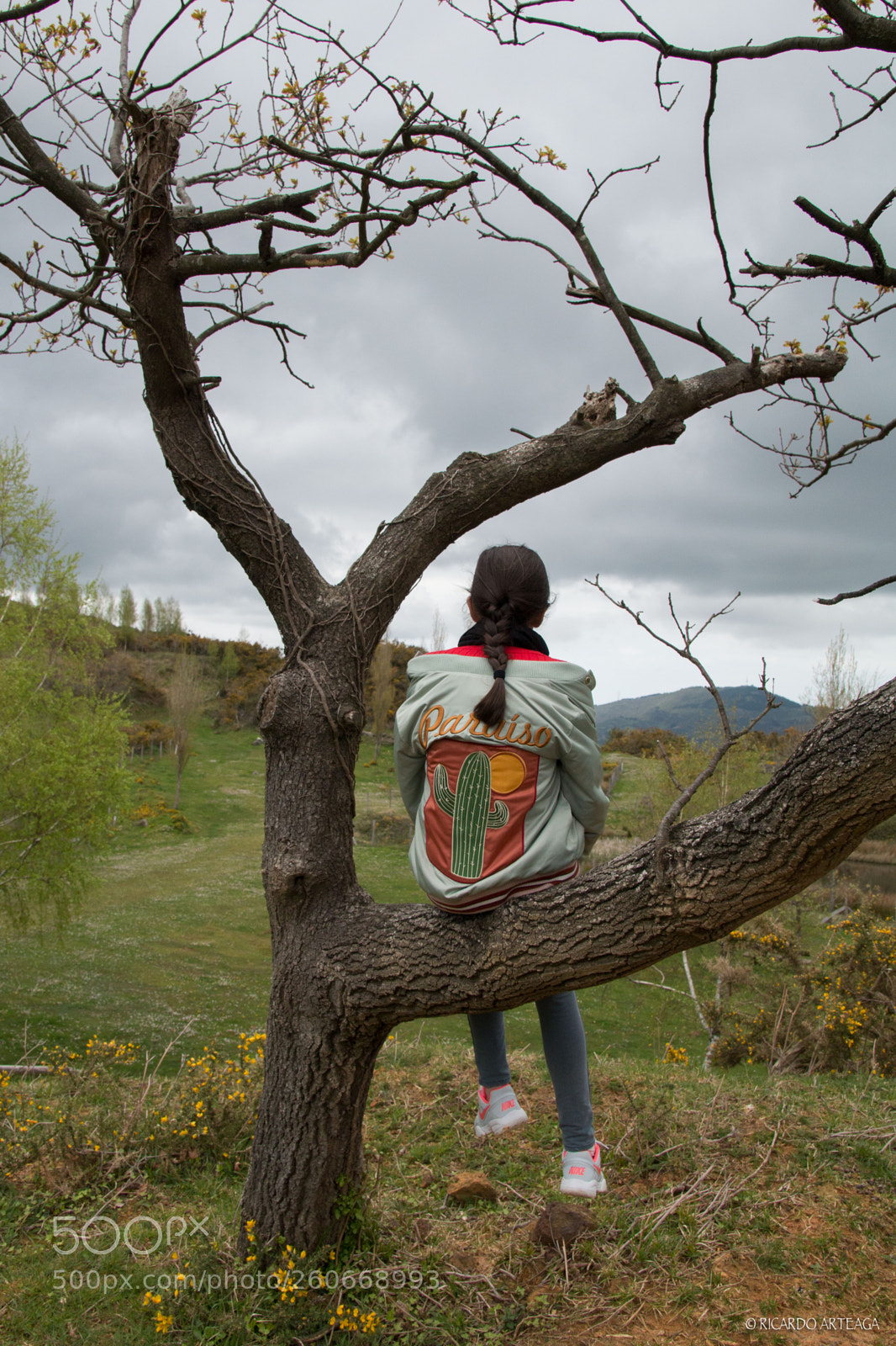 Canon EOS 70D sample photo. In the distance photography