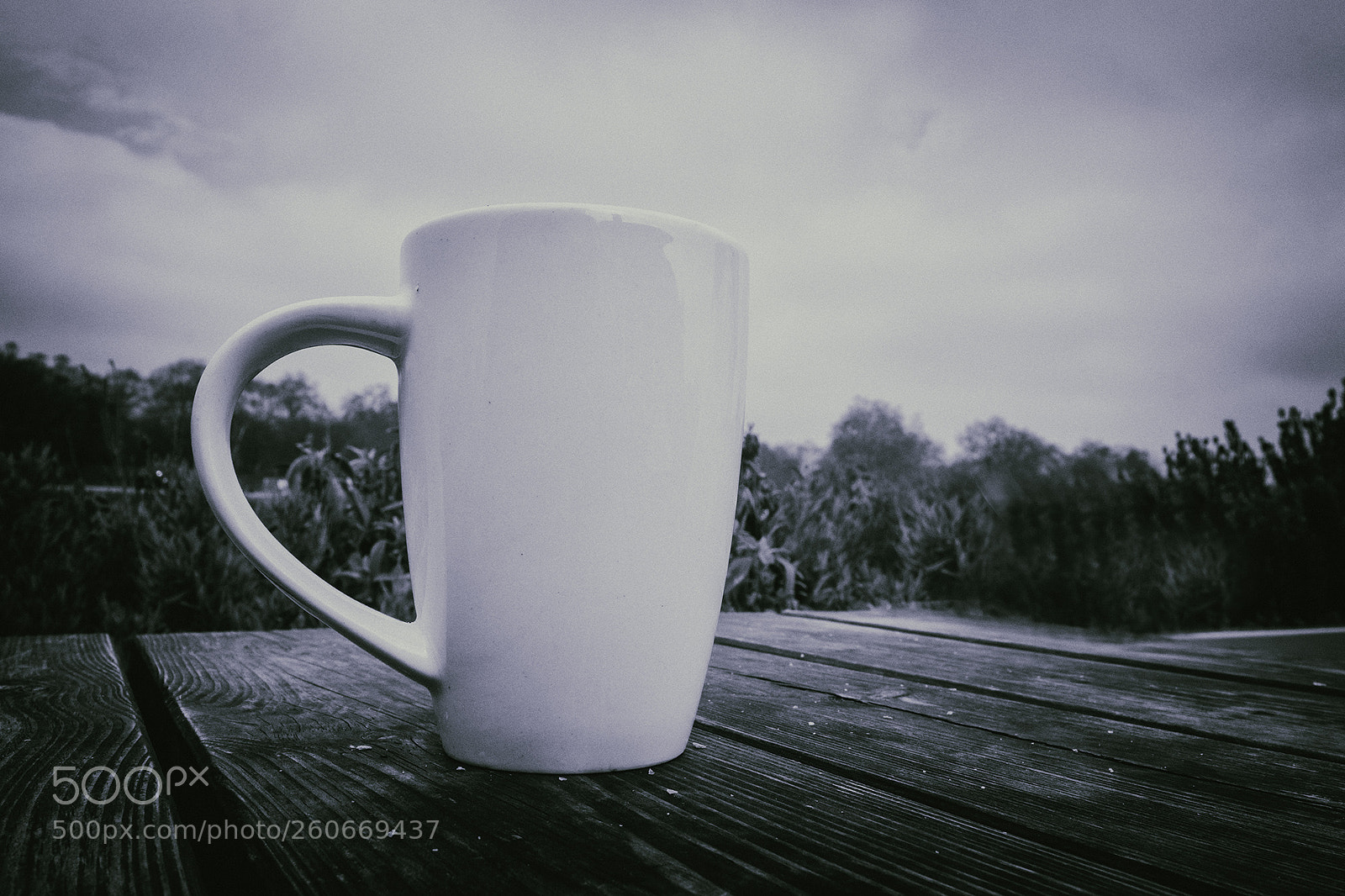Fujifilm X-T2 sample photo. Untitled photography