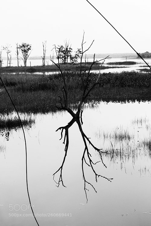 Canon EOS 1100D (EOS Rebel T3 / EOS Kiss X50) sample photo. Nature photography