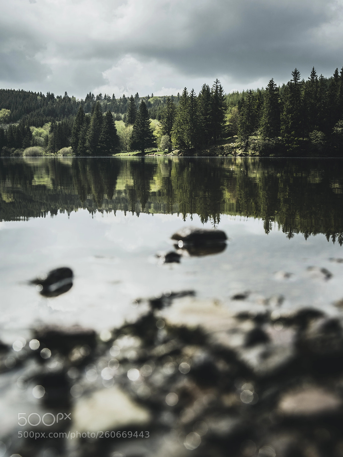 Sony a7 III sample photo. Reflection on the lake photography