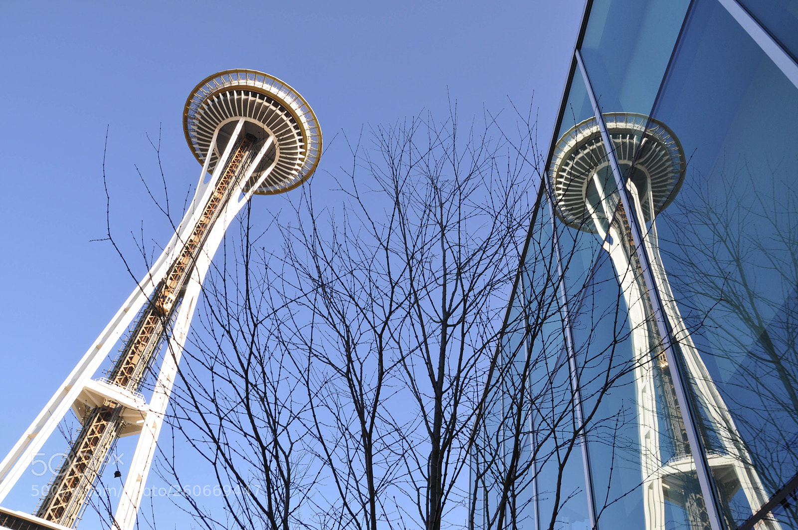 Nikon D90 sample photo. Seattle 2011 photography