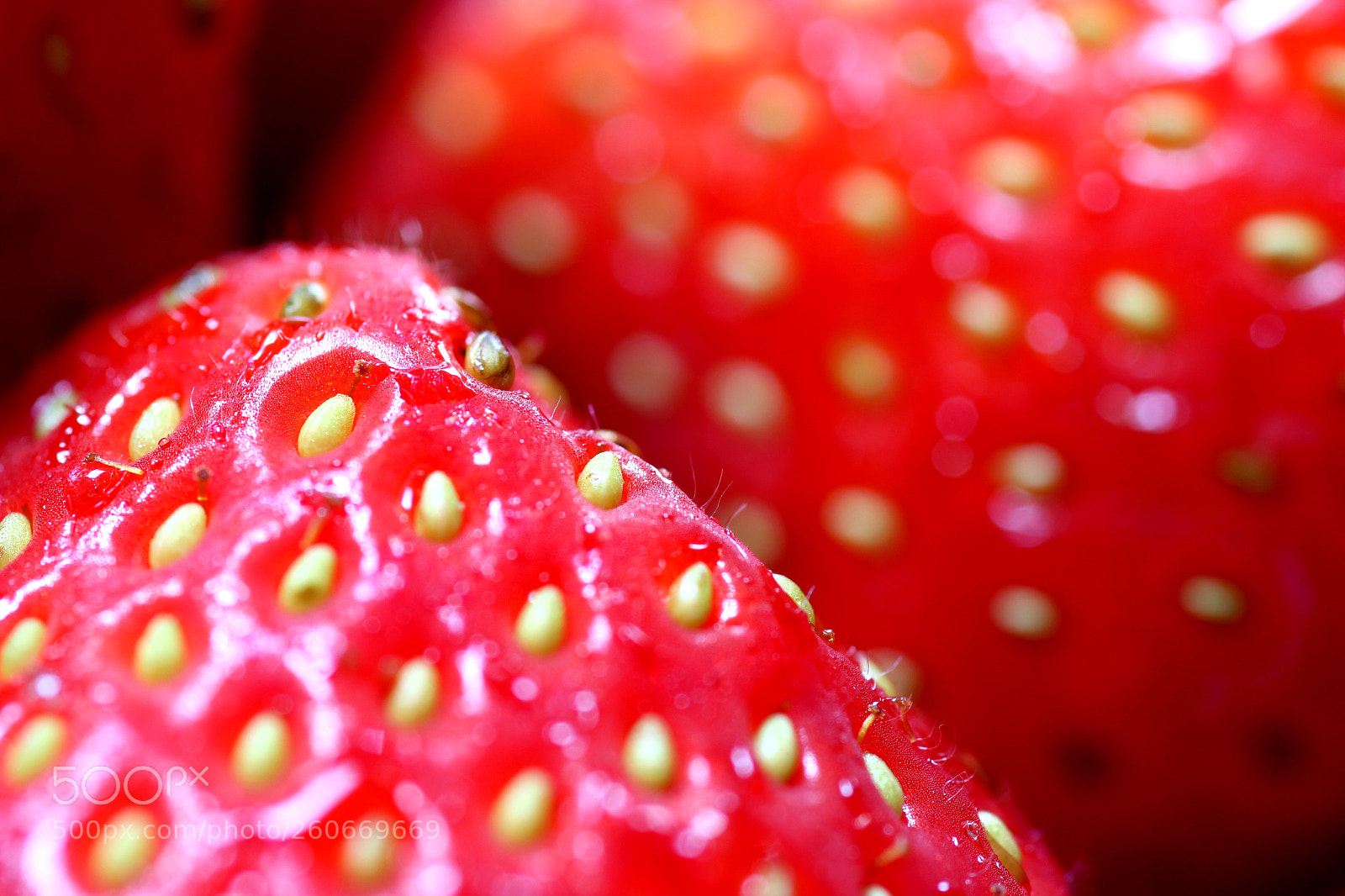 Canon EOS 600D (Rebel EOS T3i / EOS Kiss X5) sample photo. Strawberry detail photography