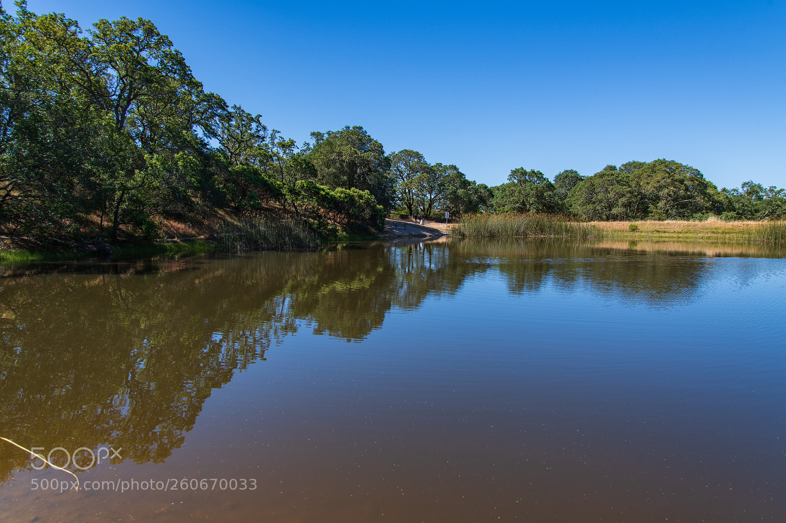 Nikon D850 sample photo. Windsor california photography