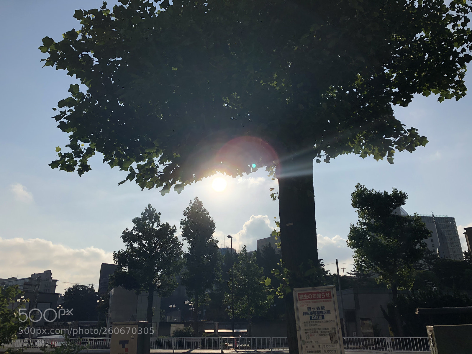 Apple iPhone 8 sample photo. Untitled photography