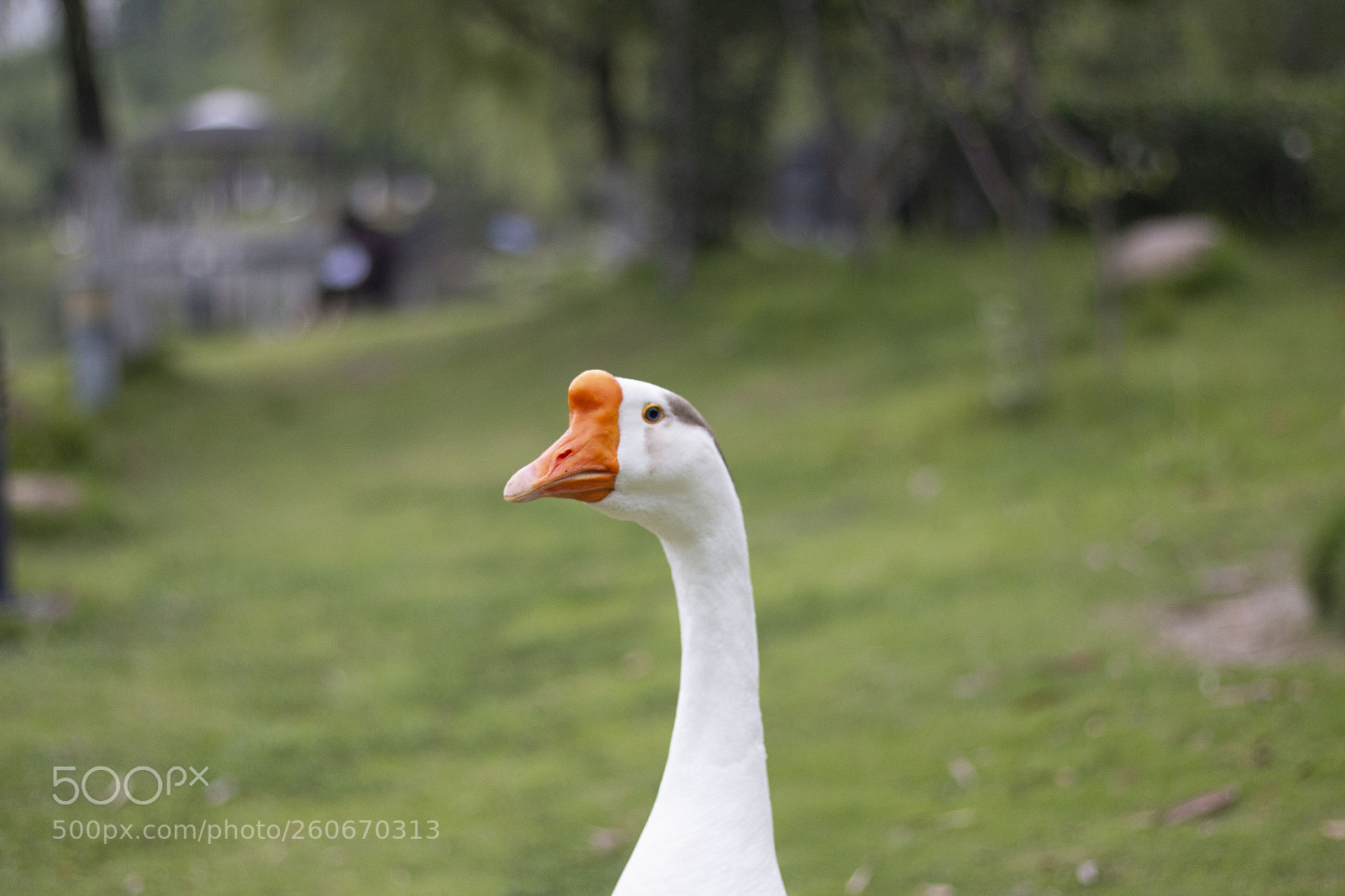Canon EOS 70D sample photo. Untitled photography