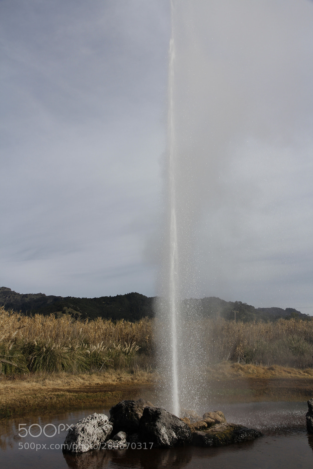 Canon EOS 60D sample photo. California small geyser photography