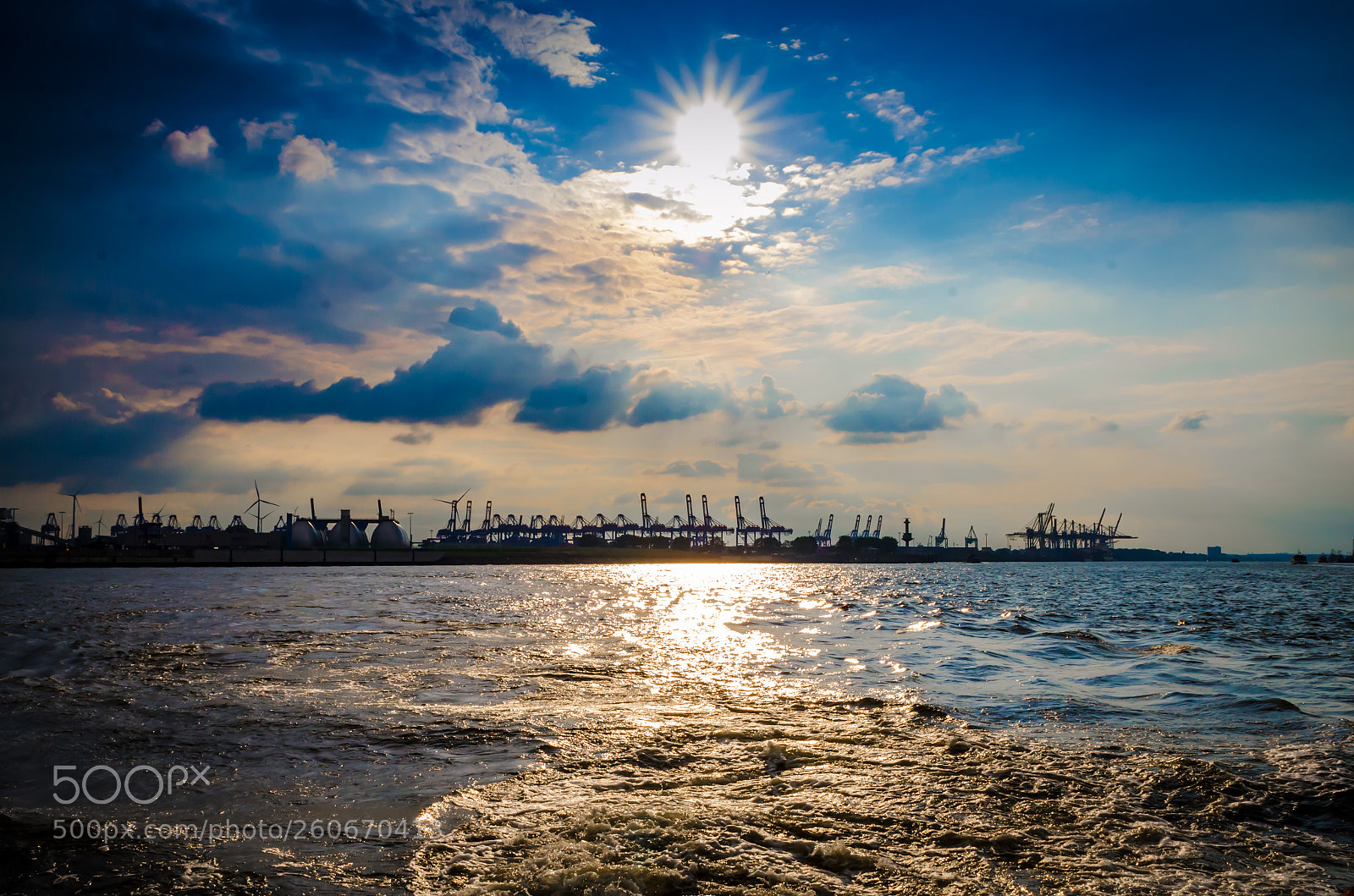 Nikon D7000 sample photo. Sun cranes 3 photography