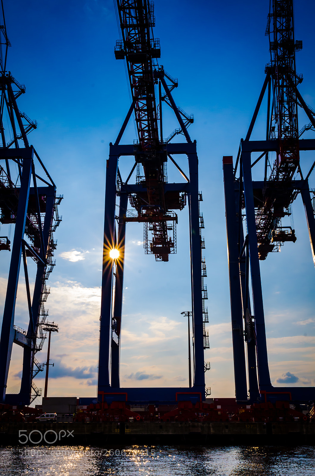Nikon D7000 sample photo. Sun cranes 1 photography