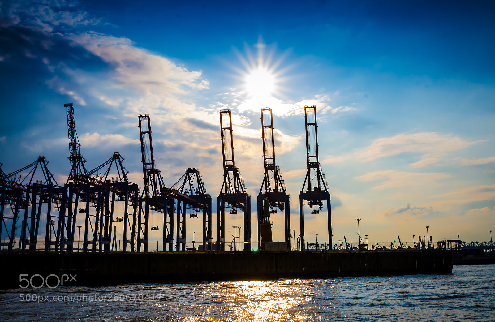Nikon D7000 sample photo. Sun cranes 2 photography