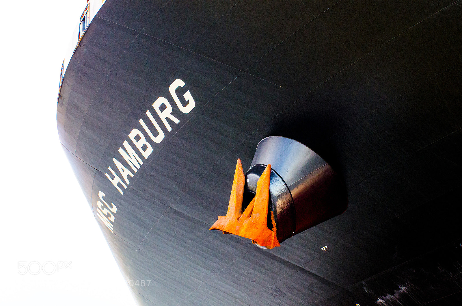 Nikon D7000 sample photo. Msc hamburg photography