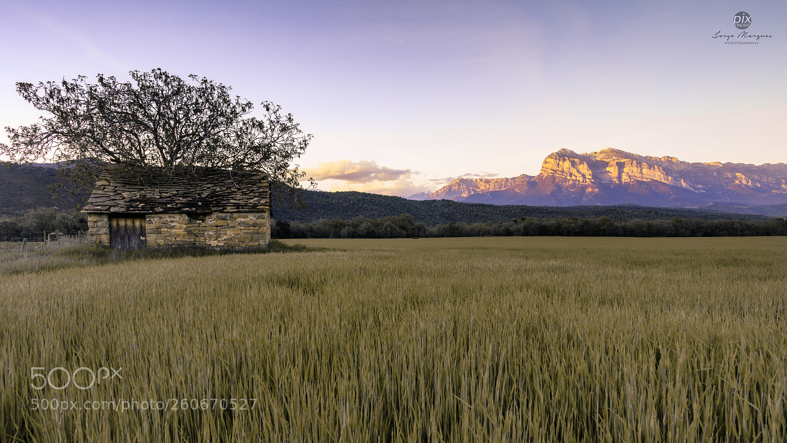 Canon EOS 5DS sample photo. Lan0212 photography