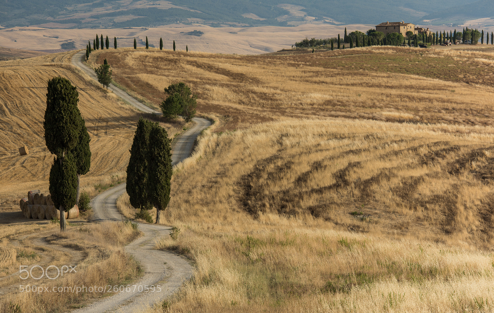 Nikon D810 sample photo. In the summer breeze photography