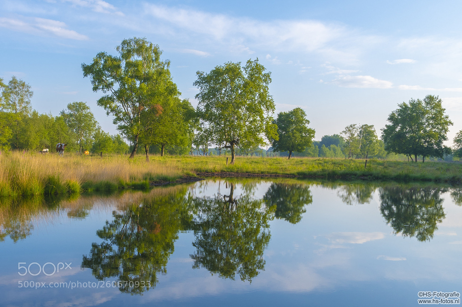 Nikon D500 sample photo. Early sunrise over a photography