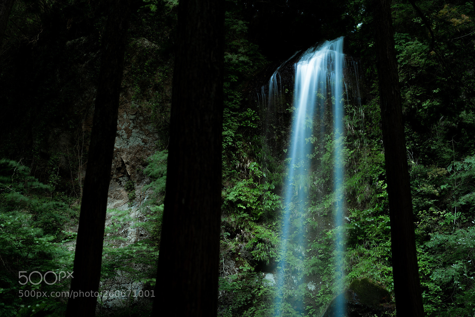 Nikon D850 sample photo. Found a waterfall photography