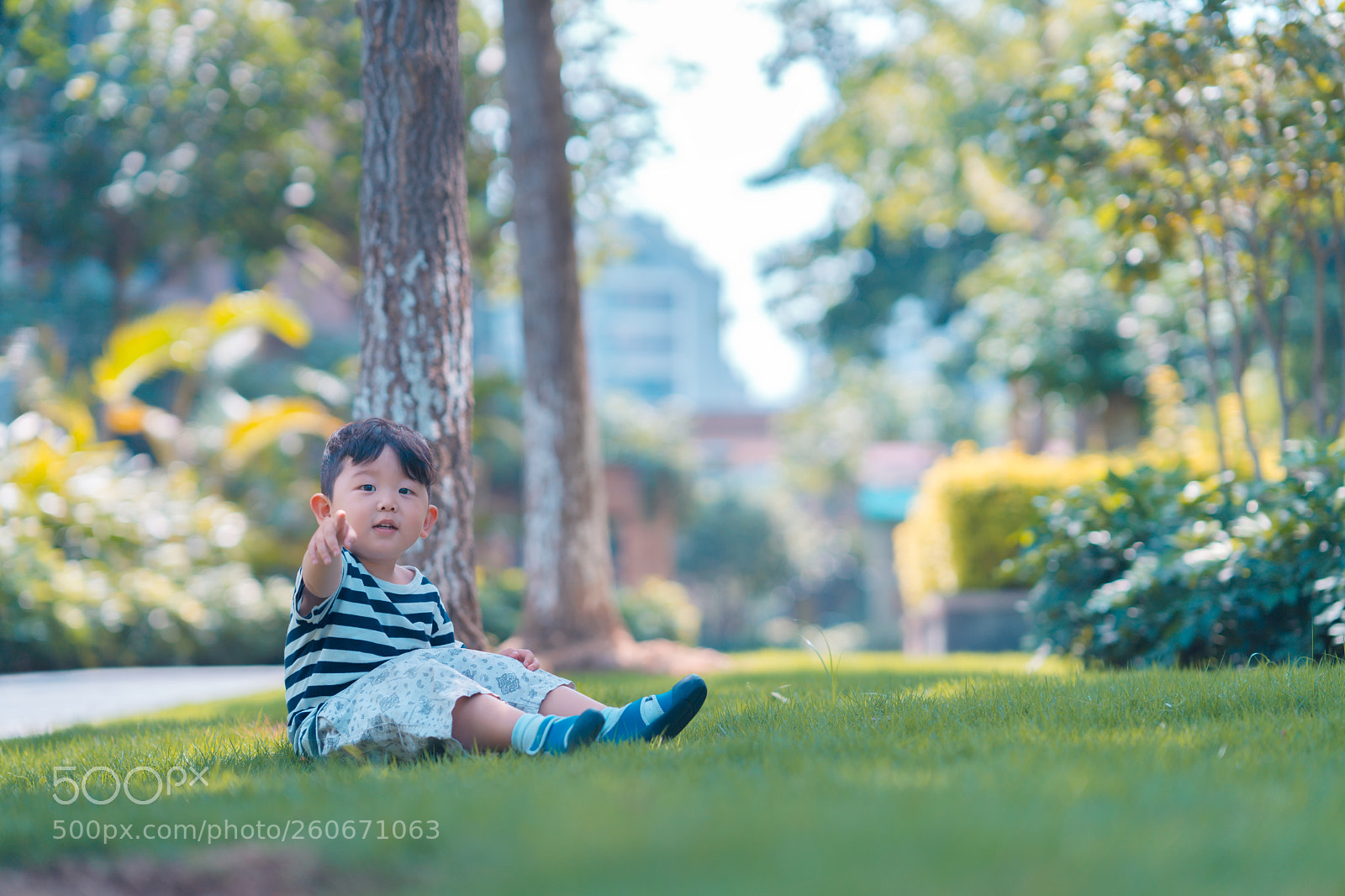 Sony a7 III sample photo. Untitled photography