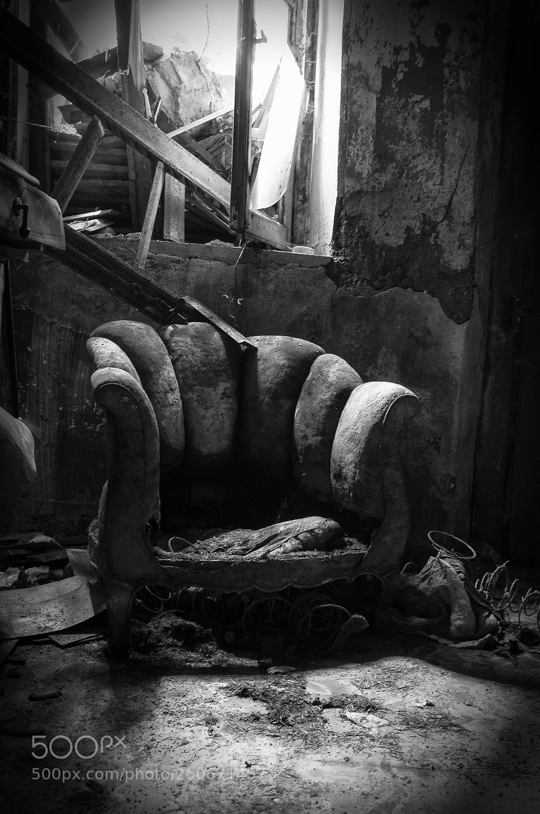 Nikon D300S sample photo. Untitled photography